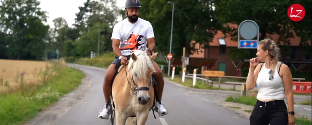 koersel-og-heste-i-trafikken